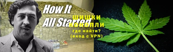 прущие грибы Лагань