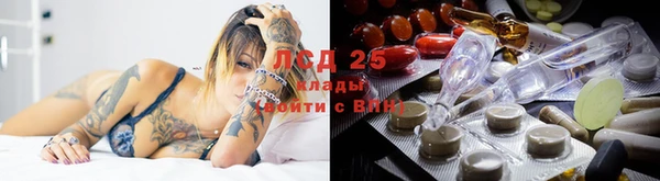 прущие грибы Лагань