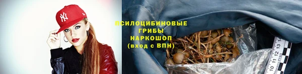 прущие грибы Лагань