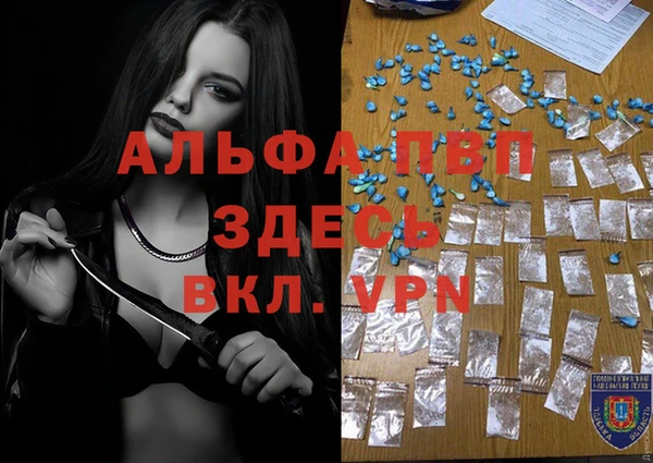 прущие грибы Лагань